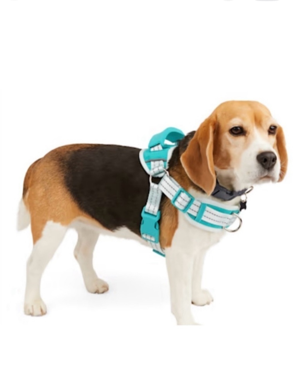 EVERYYAY Easy On Training Dog Harness in Blue